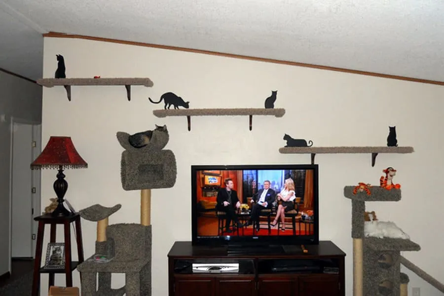 Utarbetad design för katthyllor som delas av en medlem i forumet Hur man gör ditt hem större (åtminstone för dina katter)' title=