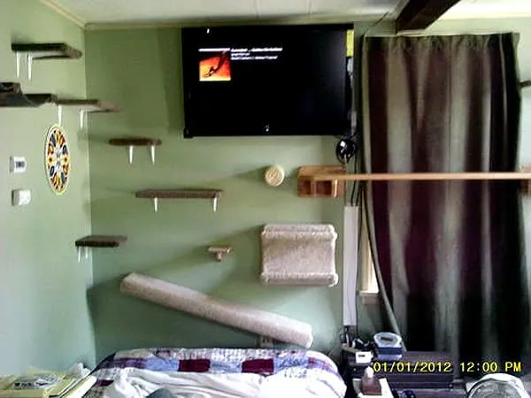 Foto av katthyllor bidragit av en forummedlem' title=