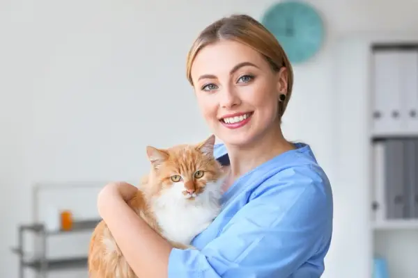 Obrázok zdôrazňujúci dôležitosť konzultácie s veterinárom.