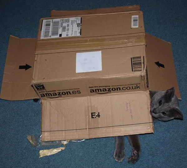 52 de motive pentru care pisicile trebuie să intre în cutii' title=