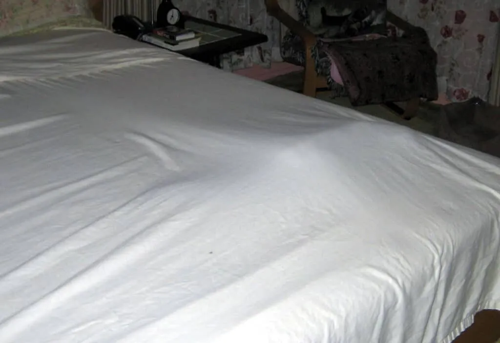 Eine Katze versteckt sich unter einer Decke' title=