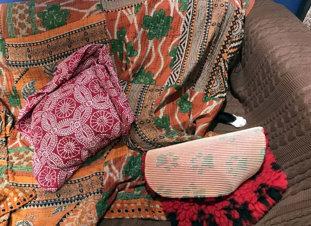 Eine schwarze Katze versteckt sich unter einer Decke und die Pfote ragt heraus' title=