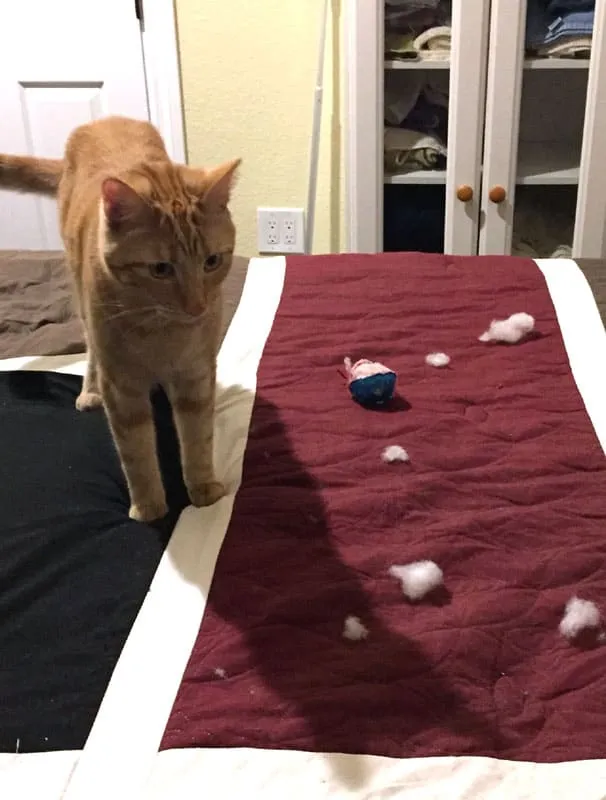 yanında parçalanmış oyuncakla yatakta kırmızı kedi' title=