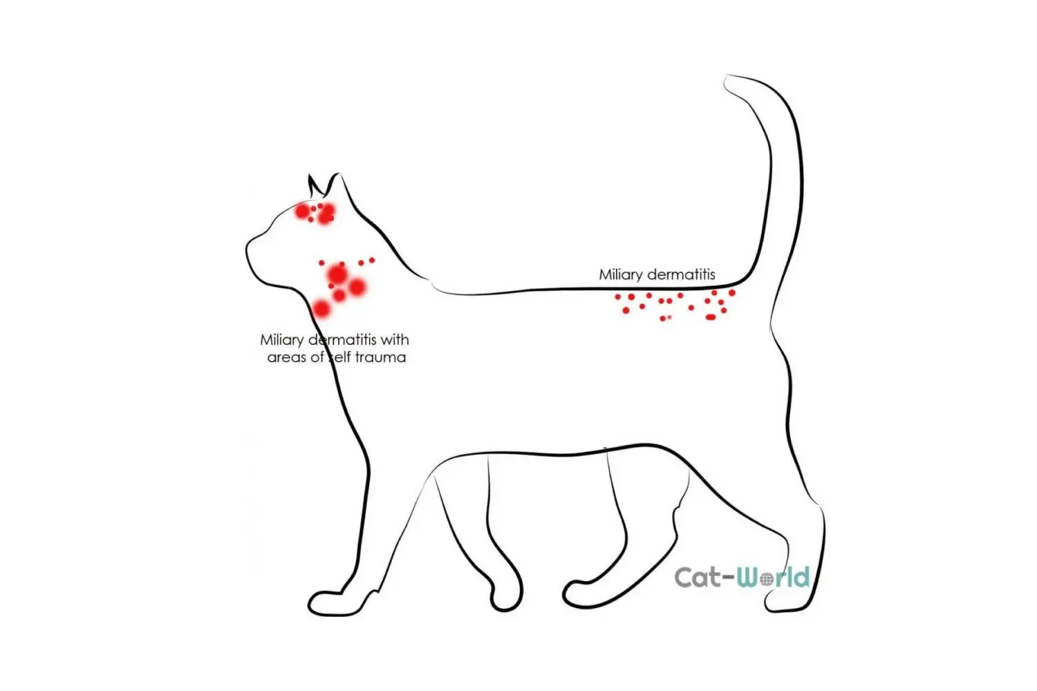Miliary dermatitis