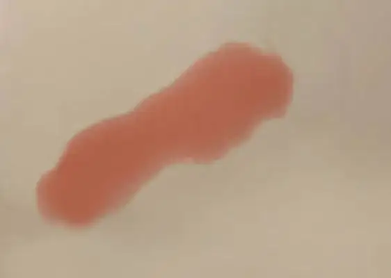 red-colored cat pee indicating presence of blood in urine