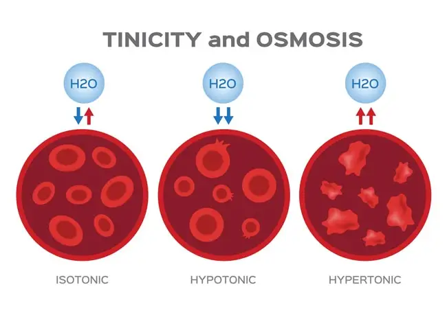 Osmosis