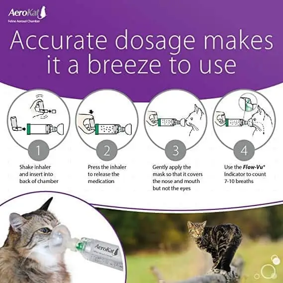 Aerokat inhaler