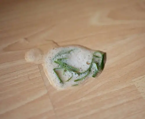 cat vomit with white foam and plant elements