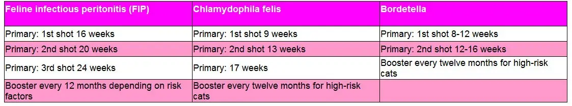 Non-core kitten vaccinations