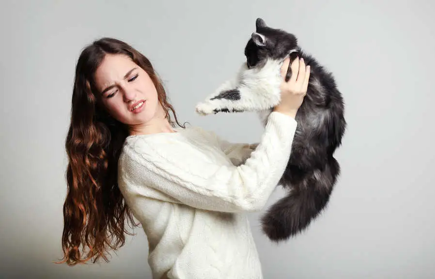 Por que meu gato acabou de fazer xixi em mim? Como posso detê -los?