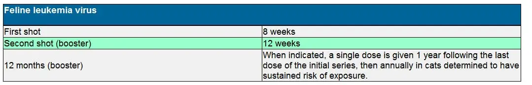 FeLV vaccine schedule for kittens and cats