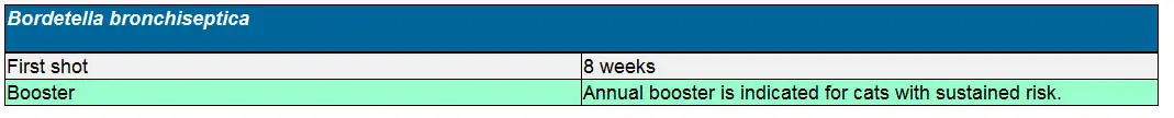 Bordetella vaccination schedule for kittens and cats