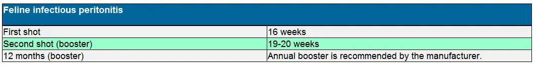FIP vaccination schedule for kittens and cats