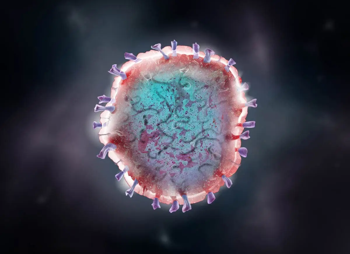 Coronavirus