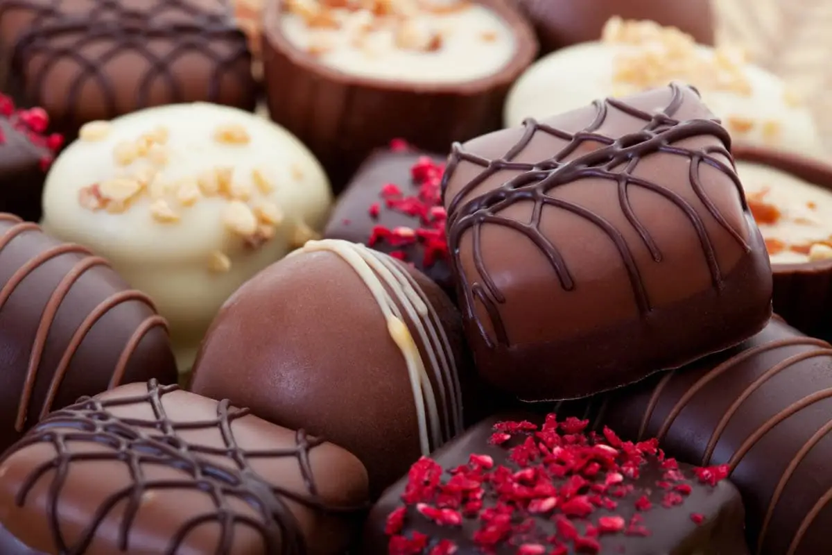Chocolate is toxic to cats