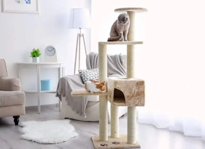 Cat condo