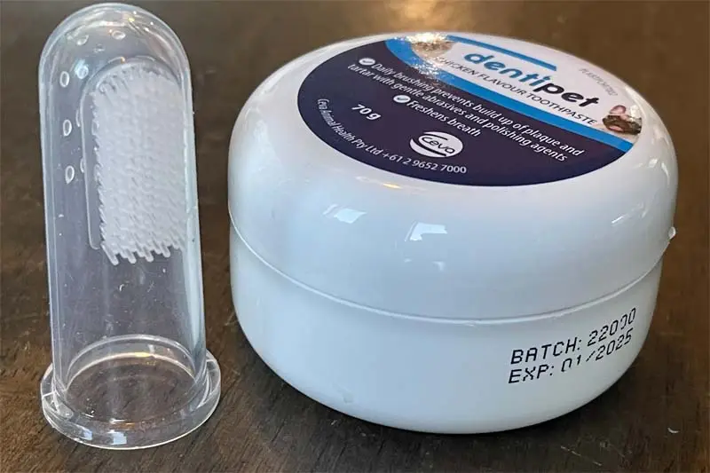 Cat tothbrush and toothpaste