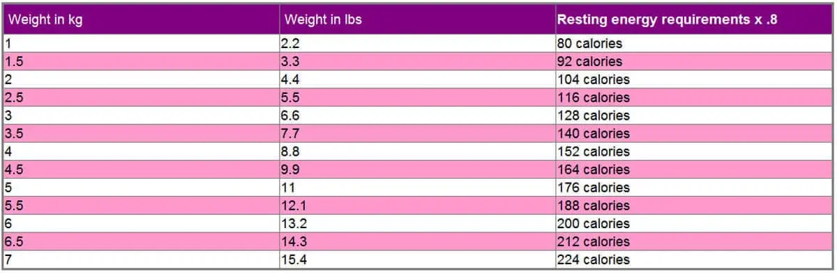 Calorie requirements for weight loss in cats