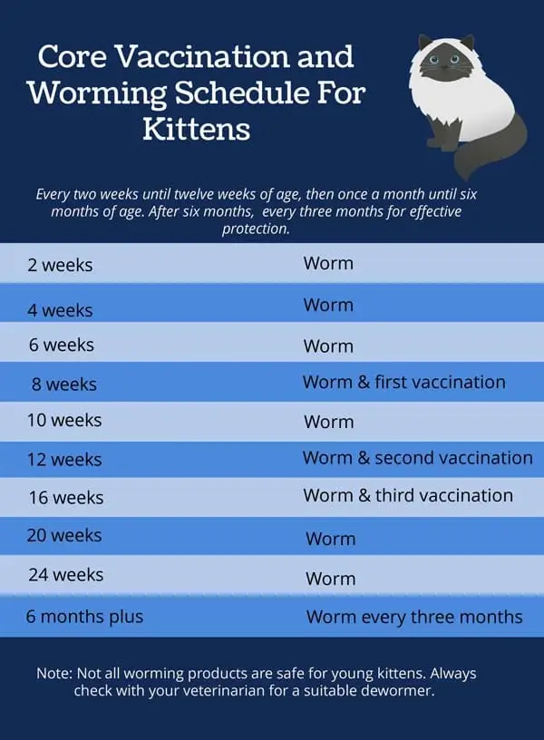 kitten worming and core vaccination schedule