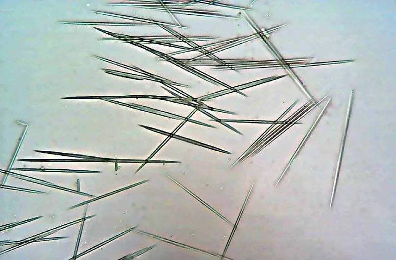 Insoluble calcium oxalate crystals