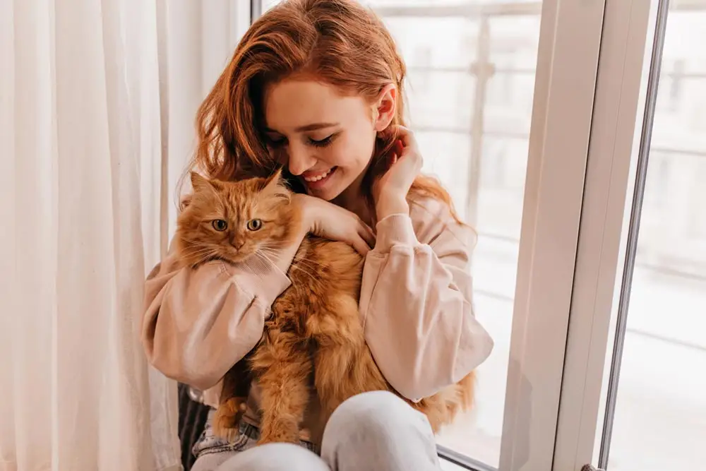 ¿Pueden los gatos tener cabello rizado?