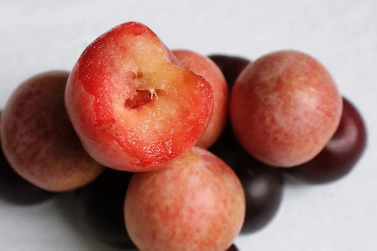 Stone fruit