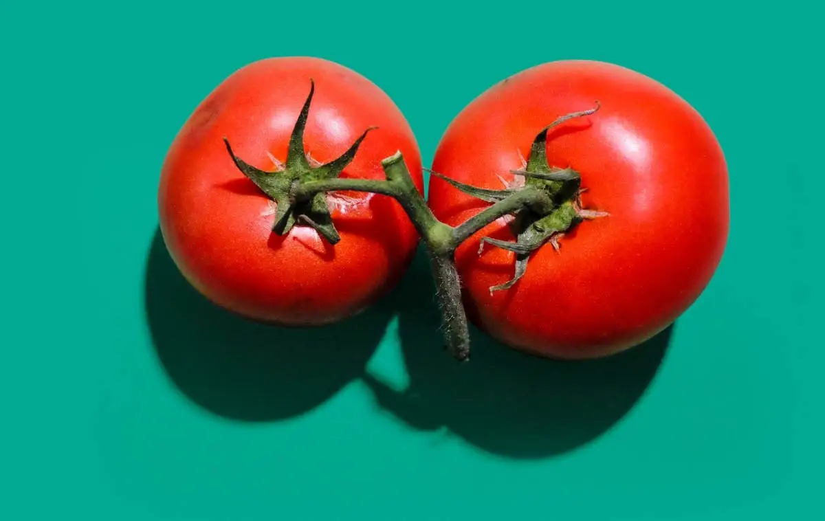 Tomato
