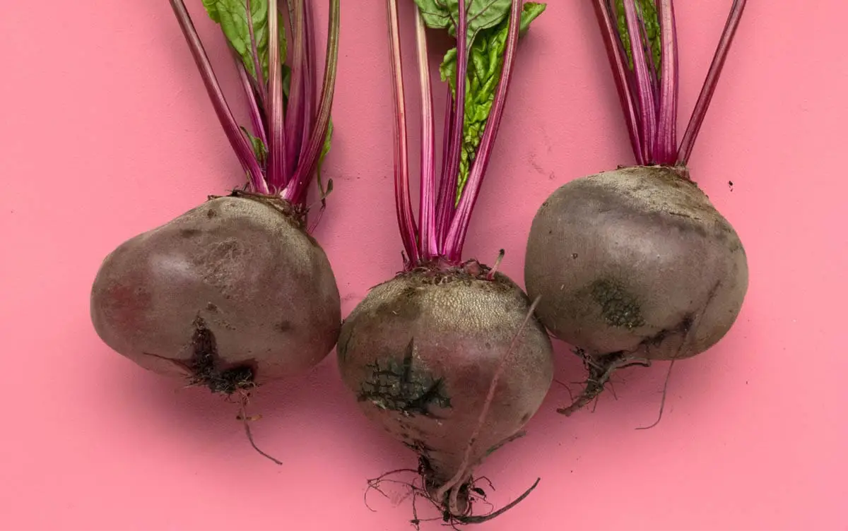 Beetroot