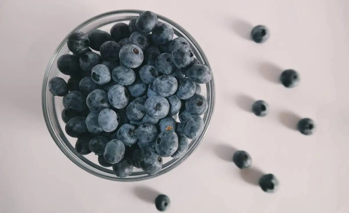 Blueberries