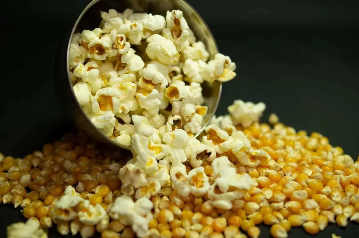 Can cats eat popcorn?