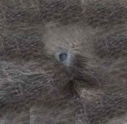 gray cat wart