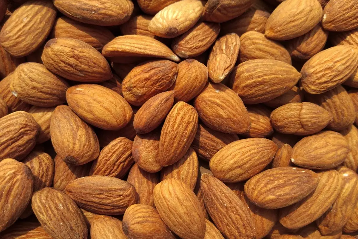 Can cats eat almonds?