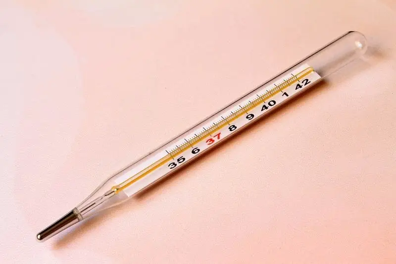 Rectal thermometer
