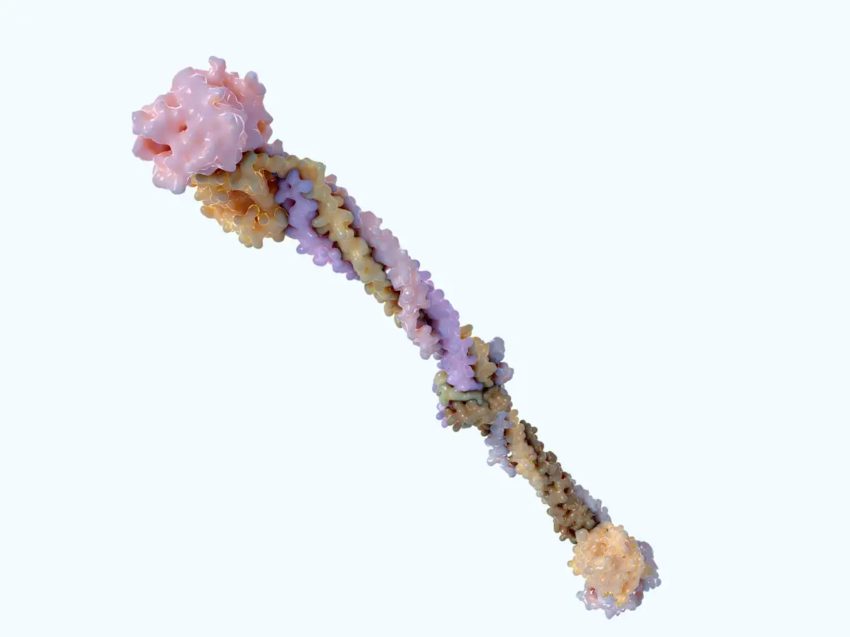 Fibrinogen