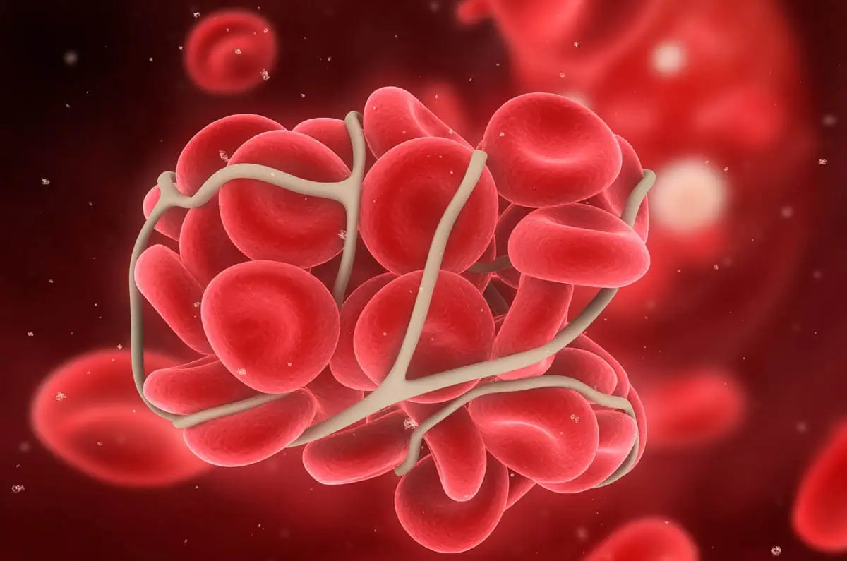 Blood clotting disorders in cats