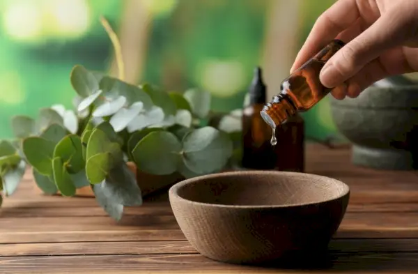 Une image capturant une femme versant délicatement de l’huile essentielle d’eucalyptus