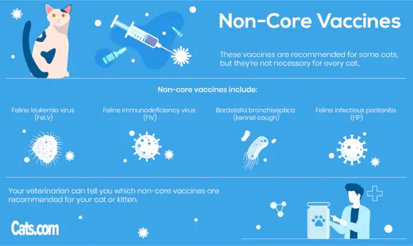 Vaccins non essentiels