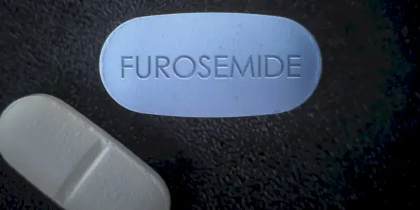 Furosemide per gatti: panoramica, dosaggio ed effetti collaterali