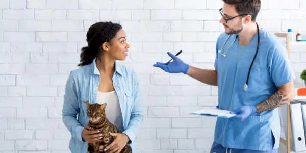 Dona de gato com seu animal de estimação se comunicando com o veterinário