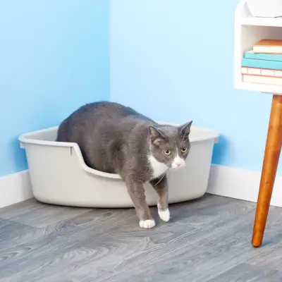 SmartCat Hoekkattenbak nieuw