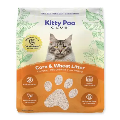 Kitty Poo Club Kil Kedi Kumu