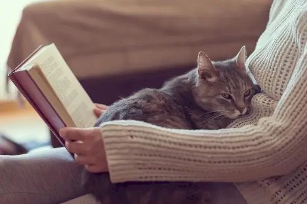 Mujer leer libro gato sentarse en el regazo