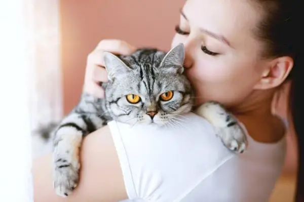 Prisrčen trenutek med mačko in človekom, ki prikazuje njuno posebno vez in povezanost.