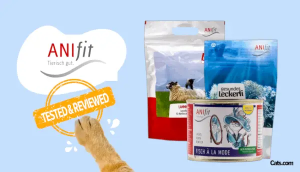 Revisão de comida de gato Anifit