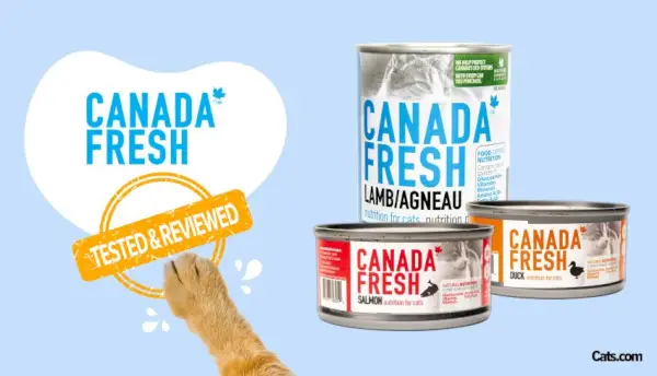 Revisión de comida fresca para gatos de Canadá