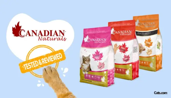 Revisió de la marca d'aliments per a gats de Canadian Naturals