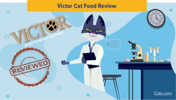 Victor Cat Food Review