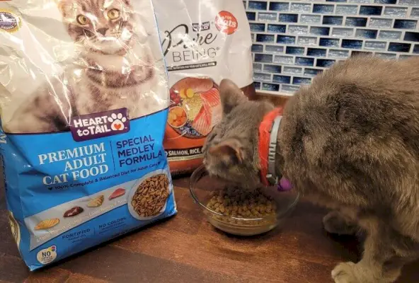 Aldi Cat Food produktai