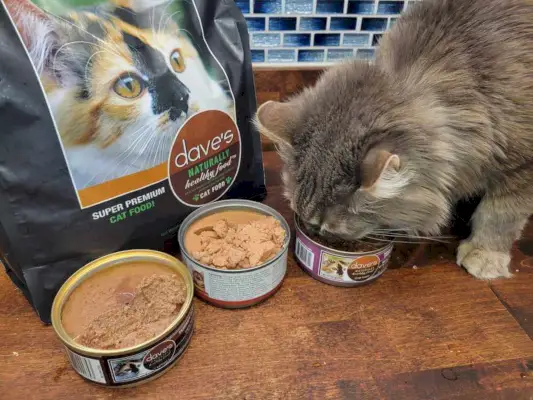 Comida para gatos Dave's Pet Food