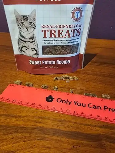 Dave's Semi-Moist Renal Cat Treats